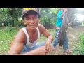 Download Lagu SETELAH PULIH DARI KECELAKAAN PAK BADIK MOLAI MENAMBAH HEWAN TERNKNYA