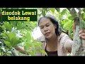 Download Lagu genjot lewat belakang bikin ketagihan!