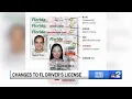 Florida making changes to driver s license