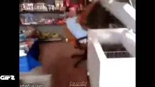 Compilation Gifs With Sound - Funny