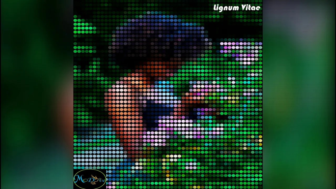 Radreezy 3000 - Lignum Vitae (Audio) Radreezy 3000 - Lignum Vitae (Audio)