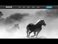 Create a Navigation Bar with Flexbox Navbar CSS Tutorial