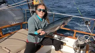 18-02_Cruising the wild side – Baja California (sailing ZERO)