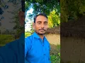 Download Lagu Tu Deewana Paagal Mera Ho Gaya #youtubeshorts #hindi #song #viralvideo