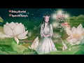 Download Lagu Kiếp Sau Nguyện Làm Một Đóa Sen - Nhạc Phật Giáo - Reii ♪ Nguyện kiếp sau thân ta là sen