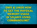 Unix Linux How to get the Physical memory usage in Solaris using commandline 3 Solutions