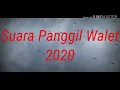 Download Lagu Suara Panggil Walet//Durasi 1 jam