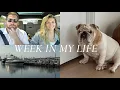 Download Lagu Vlog 2: WE RESCUED A DOG!! \u0026 MDW - Cass DiMicco