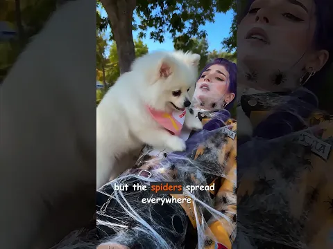 The puppy saved LUMI. #pets #cutedog #animals #puppy #cute #funny