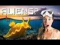 We Found Bali's WEIRDEST Sea Creatures! (Diving in Tulamben)