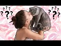 Do Cats Understand Kisses The Truth Revealed