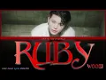 WOOZI - Ruby Color Coded English