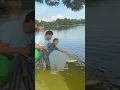 Download Lagu The courage of the little boy! Dhala put his hand on the mountain head 🐊 #viralvideo #mehedihasantopu #crocodile #wildlife