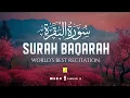 Lagu Surah Al-Baqarah Full (سورة البقرة) | Ultimate Most Heart Touching Quran Recitation | Zikrullah TV