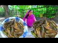 Download Lagu বাচ্চা বয়স্কদের জন্য সেরা মাছের ঝোল রান্না সঙ্গে টক পাতা দিয়ে মুসুর ডাল | healthy fish curry recipe