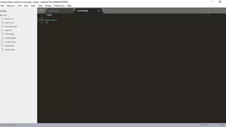 23 - Create and Call PHP Function