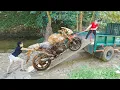 Download Lagu Girl Restores YAMAHA KPR 150 Boss City Abandoned Under The Sand for 25 Years