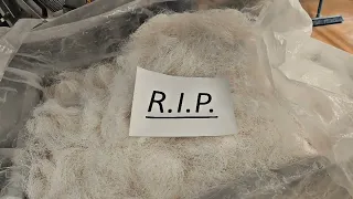                     دندنها