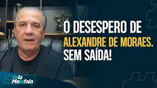O DESESPERO DE ALEXANDRE DE MORAES. SEM SAÍDA!