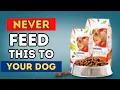 What Dog Food Do Vets NEVER Feed Their Pets The Surprising Truth
