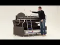 Elevate Bunk Bed Sofa Sleeper