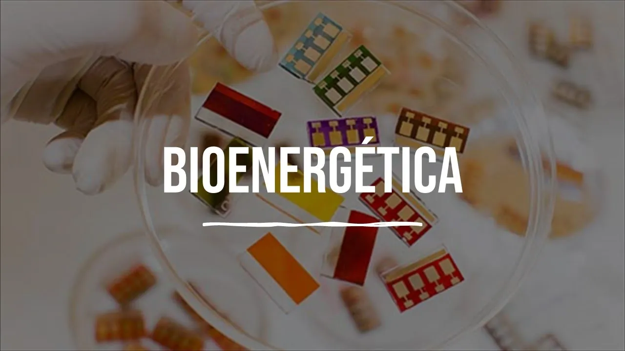 Bioenergética - Bioquímica - Lic. en Nutrición