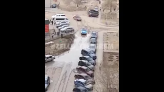                     دندنها