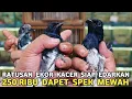 Lagu LANGSUNG BUAT BEREBUT !! KACER BELI MURAH SERASA BELI GACORAN DI PASAR BURUNG PRAMUKA