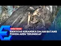 IDENTITAS KERANGKA DALAM BATANG POHON AREN TERUNGKAP