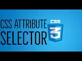 Attribute Selector in CSS CSS attribute selectors in hindi by CodeETeach