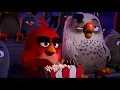 The Angry Birds Movie (2016) Scene: 'Red'/Opening Titles