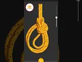 Three Loop Bowline Useful Knot Knot Tutorial