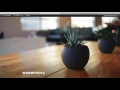 How to set up the - s underscores theme and install it on WordPress