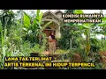 Download Lagu Lama Tak Terlihat.. Artis Terkenal Ini Kondisi Rumahnya Memprihatinkan ! Terpencil Tersembunyi!!.