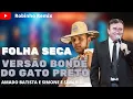 Amado Batista - Folha seca - VERSÃO BONDE DO GATO PRETO