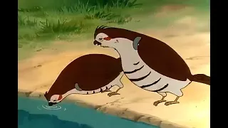 مخلص صديق الحيوان الحلقة الحادية عشر 