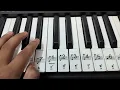 Roya Jab Tu | Mr And Mrs Mahi | Piano Cover #rajkumarrao  #royajabtu #vishalmishra #janhvikapoor