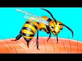 Download Lagu That's Why Bees Can Only Sting Once