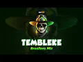 Download Lagu 🇧🇷TEMBLEKE (Brasilero Mix) Irsal Palevi | BASS TUMBUK