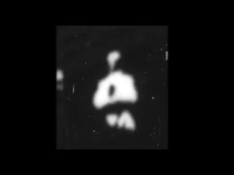 [Monkeyshines, no.  1] (1890) Edison