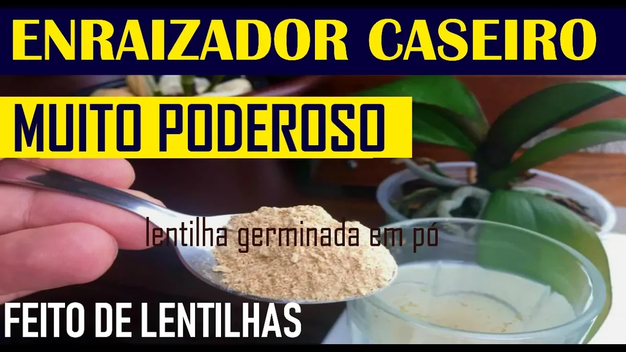 HORMÔNIO ENRAIZADOR CASEIRO EM PÓ, PARA ORQUÍDEAS E PLANTAS