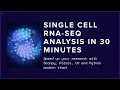 Single-Cell RNA-Seq Analysis in 30 Minutes with Scanpy UV Polars Modern Python Tools 2025