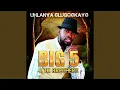 Download Lagu Inhlupho Zomuzi