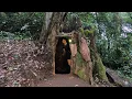 Download Lagu Build a Shelter Inside a Rotten Tree Root - Survive Alone