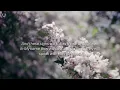 Pray in the Spirit for 30 Minutes | Tongues + Soaking Instrumental