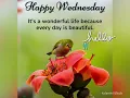 Hello Good Morning Happy Wednesday gif What s Up Status Wednesday Images