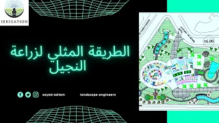 الطريقة المثلي لزراعة النجيل مع م سيد سلام دندنها