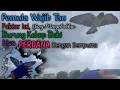 Download Lagu Kekep Babi Perdana di Perkotaan, bangunan tinggipun jadi rintangan #kekepbabifreefly #kekepbabi
