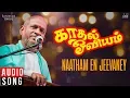 Download Lagu Kadhal Oviyam Movie Songs | Naatham En Jeevanae | S Janaki | Old Tamil Hits | Ilaiyaraaja Official
