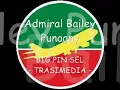 Admiral Bailey - Punaany